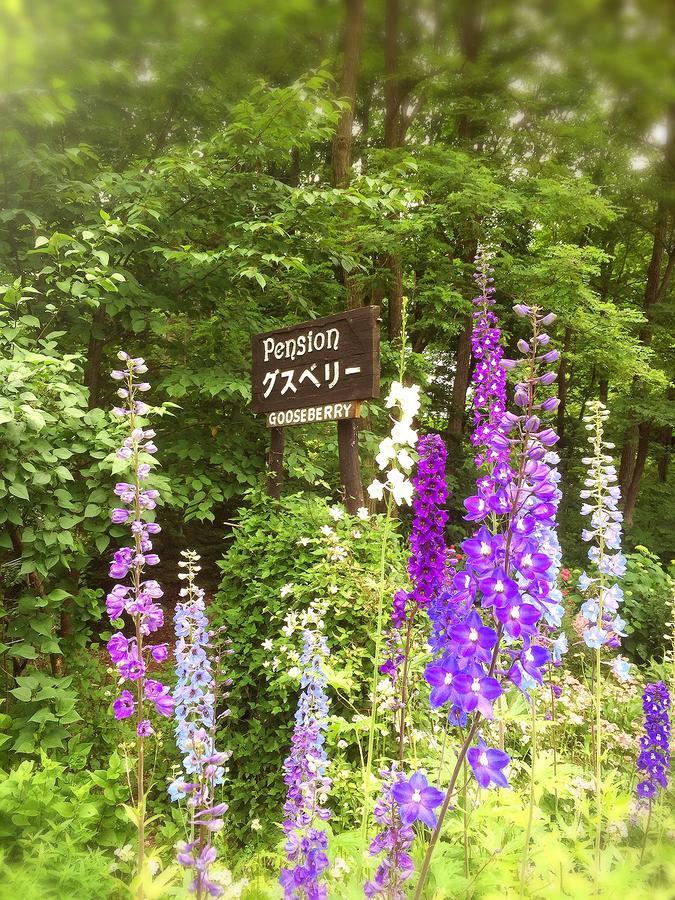 Pension Gooseberry Furano Exterior photo